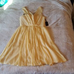 Vera Wang Princess Dress